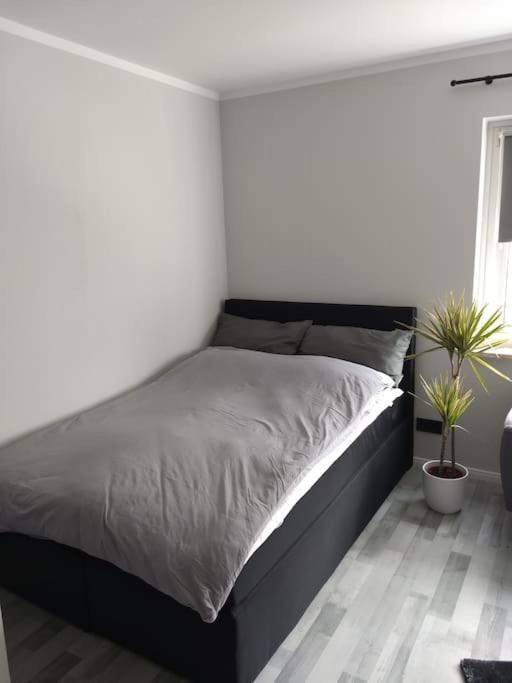 Apartment In Bremerhaven Eksteriør bilde